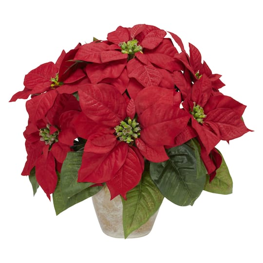 13" Potted Poinsettia with Ceramic Vase